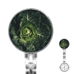 Plant Leaf Flower Green Produce Vegetable Botany Flora Cabbage Macro Photography Flowering Plant Stainless Steel Nurses Watch by Vaneshart