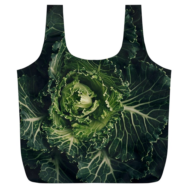 Plant Leaf Flower Green Produce Vegetable Botany Flora Cabbage Macro Photography Flowering Plant Full Print Recycle Bag (XL)