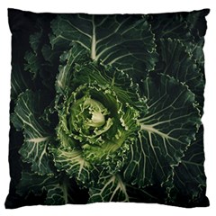 Plant Leaf Flower Green Produce Vegetable Botany Flora Cabbage Macro Photography Flowering Plant Standard Flano Cushion Case (two Sides) by Vaneshart