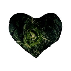 Plant Leaf Flower Green Produce Vegetable Botany Flora Cabbage Macro Photography Flowering Plant Standard 16  Premium Flano Heart Shape Cushions by Vaneshart