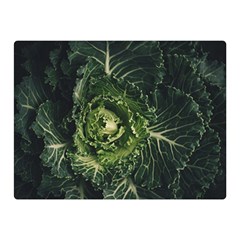 Plant Leaf Flower Green Produce Vegetable Botany Flora Cabbage Macro Photography Flowering Plant Double Sided Flano Blanket (mini)  by Vaneshart