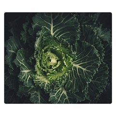 Plant Leaf Flower Green Produce Vegetable Botany Flora Cabbage Macro Photography Flowering Plant Double Sided Flano Blanket (small)  by Vaneshart