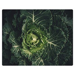 Plant Leaf Flower Green Produce Vegetable Botany Flora Cabbage Macro Photography Flowering Plant Double Sided Flano Blanket (medium)  by Vaneshart