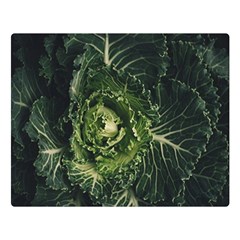 Plant Leaf Flower Green Produce Vegetable Botany Flora Cabbage Macro Photography Flowering Plant Double Sided Flano Blanket (large)  by Vaneshart