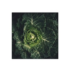 Plant Leaf Flower Green Produce Vegetable Botany Flora Cabbage Macro Photography Flowering Plant Satin Bandana Scarf by Vaneshart