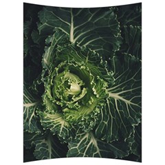 Plant Leaf Flower Green Produce Vegetable Botany Flora Cabbage Macro Photography Flowering Plant Back Support Cushion by Vaneshart