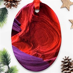 Flower Purple Petal Red Color Pink Hdr Magenta Lowerantelopecanyon Antelopecanyon Macro Photography Oval Ornament (two Sides) by Vaneshart