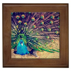 Bird Biology Fauna Material Chile Peacock Plumage Feathers Symmetry Vertebrate Peafowl Framed Tile by Vaneshart