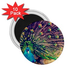 Bird Biology Fauna Material Chile Peacock Plumage Feathers Symmetry Vertebrate Peafowl 2 25  Magnets (10 Pack)  by Vaneshart