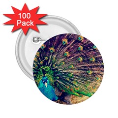 Bird Biology Fauna Material Chile Peacock Plumage Feathers Symmetry Vertebrate Peafowl 2 25  Buttons (100 Pack)  by Vaneshart