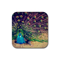 Bird Biology Fauna Material Chile Peacock Plumage Feathers Symmetry Vertebrate Peafowl Rubber Coaster (square)  by Vaneshart