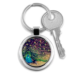 Bird Biology Fauna Material Chile Peacock Plumage Feathers Symmetry Vertebrate Peafowl Key Chain (round) by Vaneshart