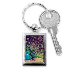 Bird Biology Fauna Material Chile Peacock Plumage Feathers Symmetry Vertebrate Peafowl Key Chain (rectangle) by Vaneshart