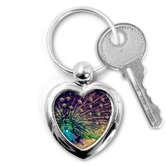 Bird Biology Fauna Material Chile Peacock Plumage Feathers Symmetry Vertebrate Peafowl Key Chain (heart) by Vaneshart