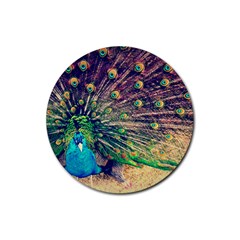 Bird Biology Fauna Material Chile Peacock Plumage Feathers Symmetry Vertebrate Peafowl Rubber Coaster (round)  by Vaneshart