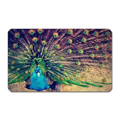 Bird Biology Fauna Material Chile Peacock Plumage Feathers Symmetry Vertebrate Peafowl Magnet (rectangular) by Vaneshart