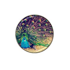 Bird Biology Fauna Material Chile Peacock Plumage Feathers Symmetry Vertebrate Peafowl Hat Clip Ball Marker (10 Pack) by Vaneshart