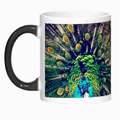 Bird Biology Fauna Material Chile Peacock Plumage Feathers Symmetry Vertebrate Peafowl Morph Mugs by Vaneshart