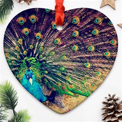 Bird Biology Fauna Material Chile Peacock Plumage Feathers Symmetry Vertebrate Peafowl Heart Ornament (two Sides) by Vaneshart