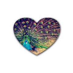 Bird Biology Fauna Material Chile Peacock Plumage Feathers Symmetry Vertebrate Peafowl Rubber Coaster (heart)  by Vaneshart