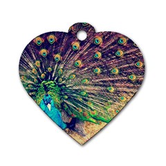 Bird Biology Fauna Material Chile Peacock Plumage Feathers Symmetry Vertebrate Peafowl Dog Tag Heart (two Sides) by Vaneshart