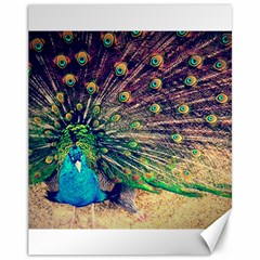 Bird Biology Fauna Material Chile Peacock Plumage Feathers Symmetry Vertebrate Peafowl Canvas 11  X 14  by Vaneshart