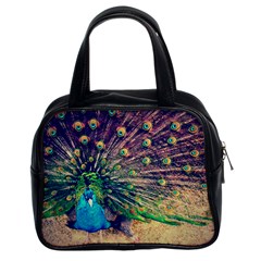 Bird Biology Fauna Material Chile Peacock Plumage Feathers Symmetry Vertebrate Peafowl Classic Handbag (two Sides) by Vaneshart