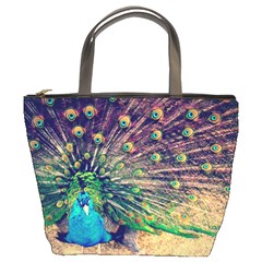 Bird Biology Fauna Material Chile Peacock Plumage Feathers Symmetry Vertebrate Peafowl Bucket Bag by Vaneshart