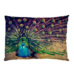 Bird Biology Fauna Material Chile Peacock Plumage Feathers Symmetry Vertebrate Peafowl Pillow Case by Vaneshart