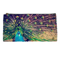 Bird Biology Fauna Material Chile Peacock Plumage Feathers Symmetry Vertebrate Peafowl Pencil Cases by Vaneshart