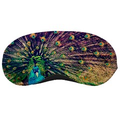 Bird Biology Fauna Material Chile Peacock Plumage Feathers Symmetry Vertebrate Peafowl Sleeping Mask by Vaneshart