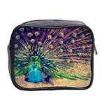 Bird Biology Fauna Material Chile Peacock Plumage Feathers Symmetry Vertebrate Peafowl Mini Toiletries Bag (Two Sides) Back