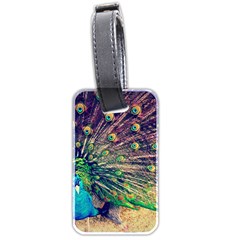 Bird Biology Fauna Material Chile Peacock Plumage Feathers Symmetry Vertebrate Peafowl Luggage Tag (two Sides) by Vaneshart