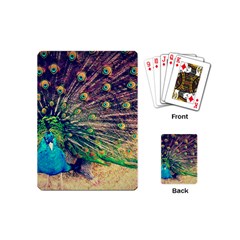 Bird Biology Fauna Material Chile Peacock Plumage Feathers Symmetry Vertebrate Peafowl Playing Cards Single Design (mini) by Vaneshart