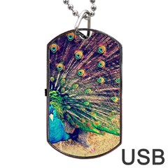 Bird Biology Fauna Material Chile Peacock Plumage Feathers Symmetry Vertebrate Peafowl Dog Tag Usb Flash (one Side) by Vaneshart