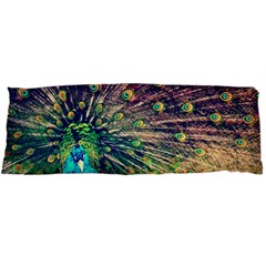 Bird Biology Fauna Material Chile Peacock Plumage Feathers Symmetry Vertebrate Peafowl Body Pillow Case Dakimakura (two Sides) by Vaneshart