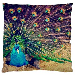 Bird Biology Fauna Material Chile Peacock Plumage Feathers Symmetry Vertebrate Peafowl Large Cushion Case (two Sides) by Vaneshart