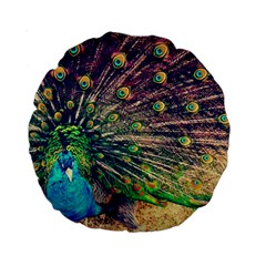 Bird Biology Fauna Material Chile Peacock Plumage Feathers Symmetry Vertebrate Peafowl Standard 15  Premium Round Cushions by Vaneshart