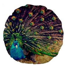 Bird Biology Fauna Material Chile Peacock Plumage Feathers Symmetry Vertebrate Peafowl Large 18  Premium Round Cushions by Vaneshart