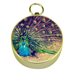 Bird Biology Fauna Material Chile Peacock Plumage Feathers Symmetry Vertebrate Peafowl Gold Compasses by Vaneshart