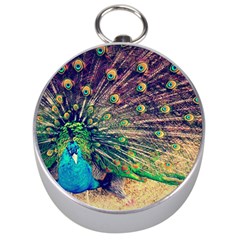 Bird Biology Fauna Material Chile Peacock Plumage Feathers Symmetry Vertebrate Peafowl Silver Compasses by Vaneshart