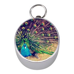 Bird Biology Fauna Material Chile Peacock Plumage Feathers Symmetry Vertebrate Peafowl Mini Silver Compasses by Vaneshart