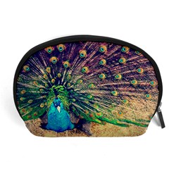 Bird Biology Fauna Material Chile Peacock Plumage Feathers Symmetry Vertebrate Peafowl Accessory Pouch (large) by Vaneshart