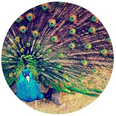 Bird Biology Fauna Material Chile Peacock Plumage Feathers Symmetry Vertebrate Peafowl Wooden Bottle Opener (round)