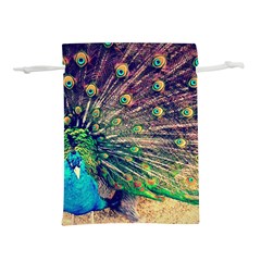 Bird Biology Fauna Material Chile Peacock Plumage Feathers Symmetry Vertebrate Peafowl Lightweight Drawstring Pouch (s) by Vaneshart