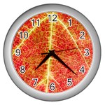 Plant Vineyard Wine Sunlight Texture Leaf Pattern Green Red Color Macro Autumn Circle Vein Sunny  Wall Clock (Silver) Front