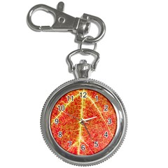 Plant Vineyard Wine Sunlight Texture Leaf Pattern Green Red Color Macro Autumn Circle Vein Sunny  Key Chain Watches by Vaneshart