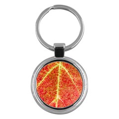 Plant Vineyard Wine Sunlight Texture Leaf Pattern Green Red Color Macro Autumn Circle Vein Sunny  Key Chain (round) by Vaneshart