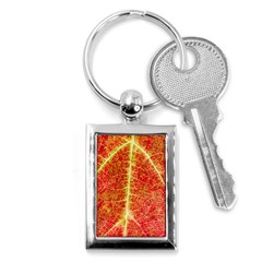 Plant Vineyard Wine Sunlight Texture Leaf Pattern Green Red Color Macro Autumn Circle Vein Sunny  Key Chain (rectangle) by Vaneshart