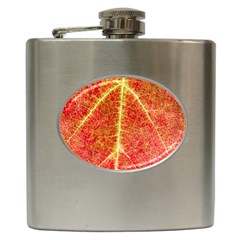 Plant Vineyard Wine Sunlight Texture Leaf Pattern Green Red Color Macro Autumn Circle Vein Sunny  Hip Flask (6 Oz) by Vaneshart